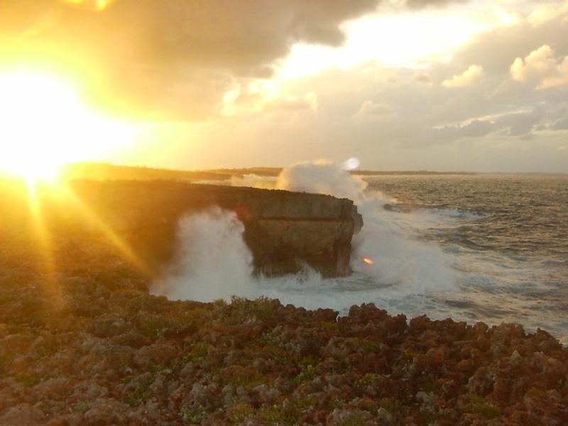 Trident Cottage Cottage Palmetto Point Buitenkant foto